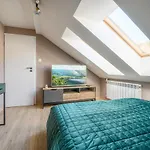Apartament Migotka